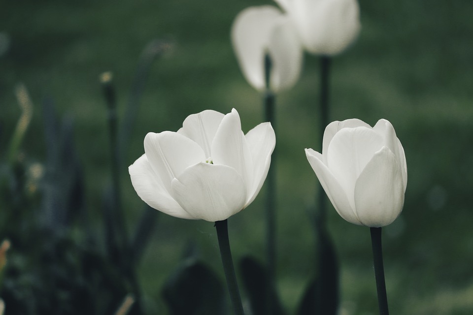 De tuin zomerklaar maken doe je lekker zelf