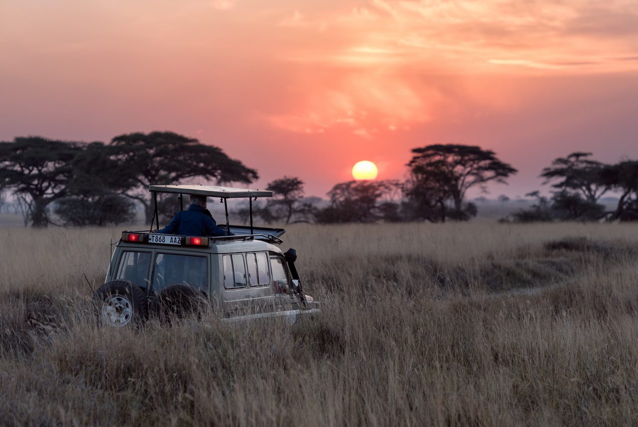 safari namibie vakantie canada